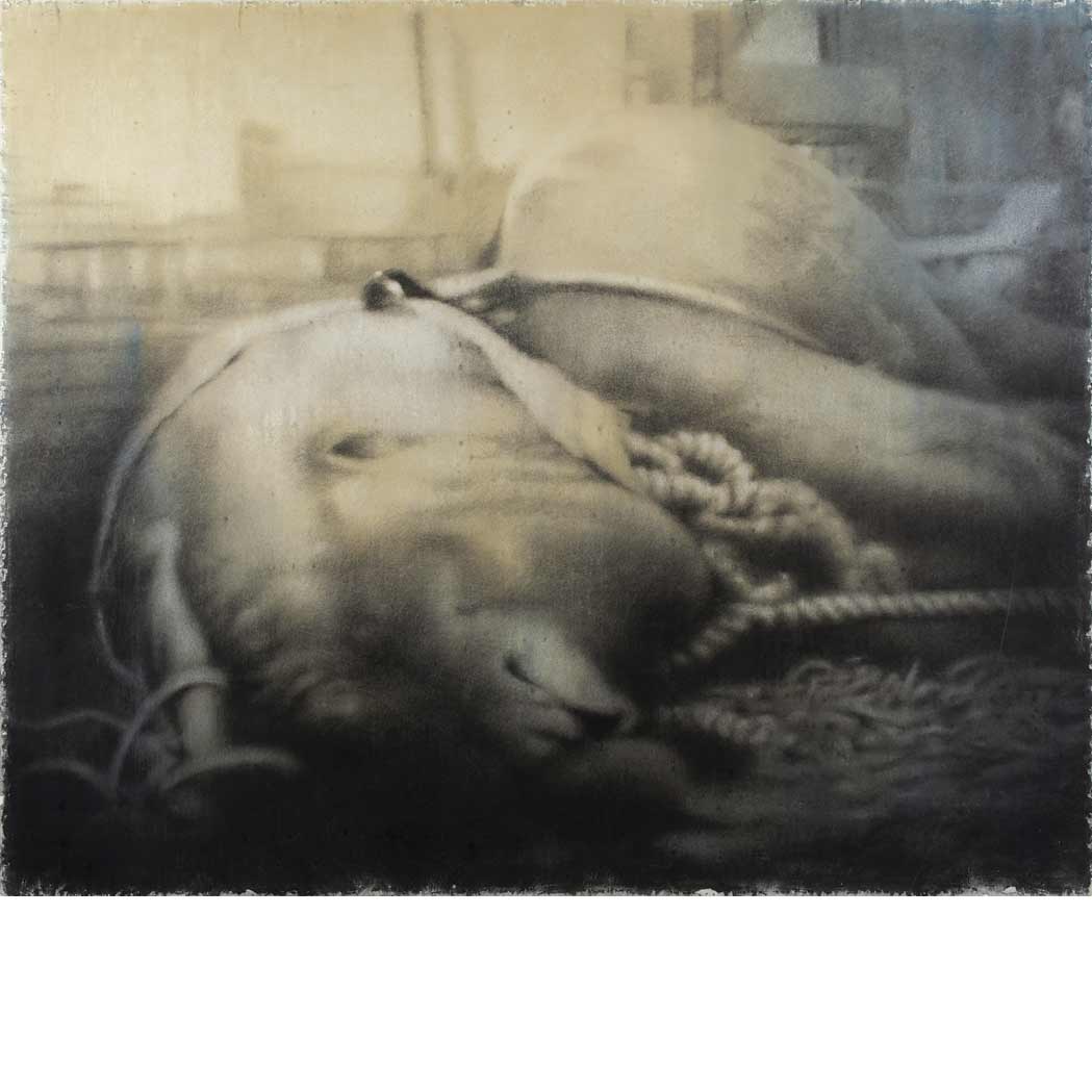 Lot image - Joseph Stashkevetch