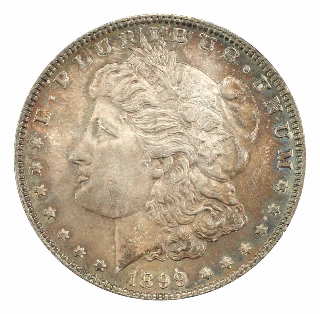 Lot image - United States, 1899 Morgan Dollar