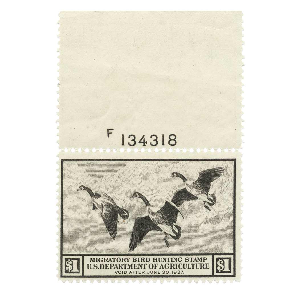 Lot image - United States, Hunting Permits, 1936 $1 Canada Geese, Scott RW3
