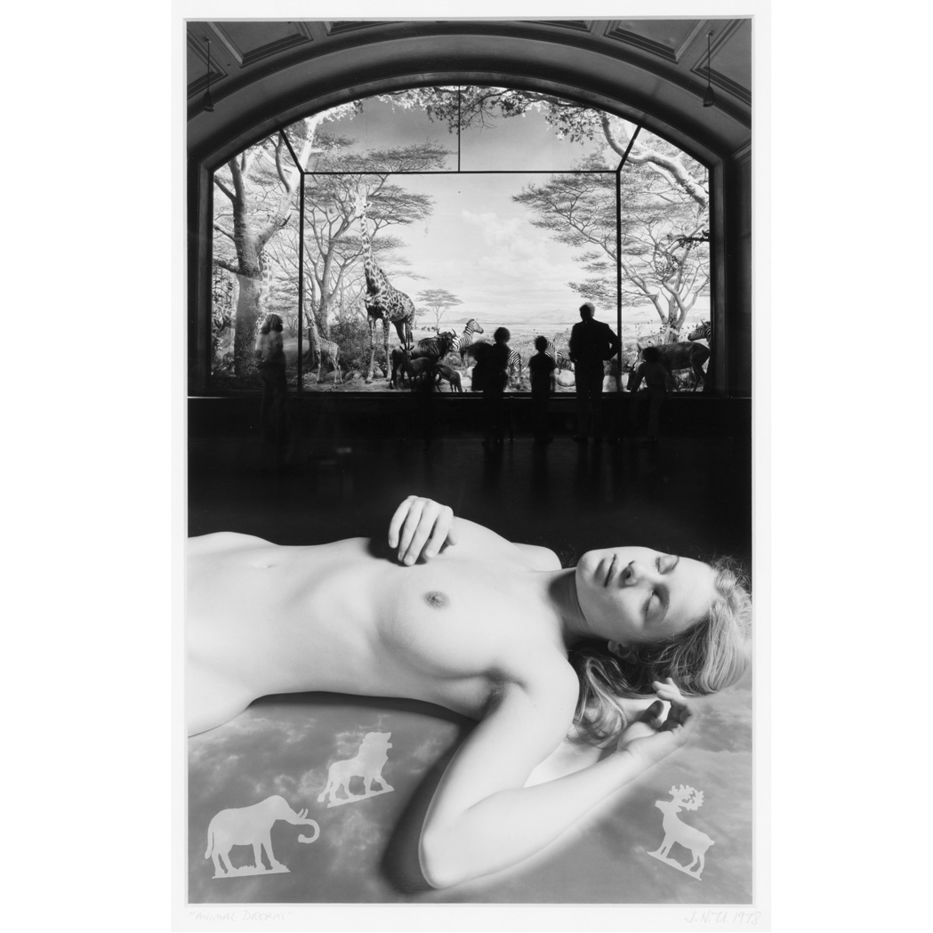 Lot image - UELSMANN, JERRY (b. 1954) Animal Dream 1978.