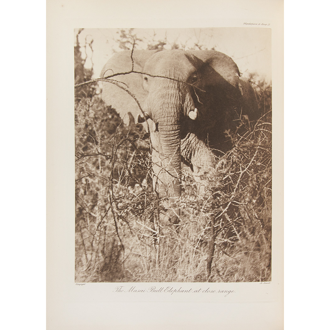 Lot image - [PHOTOBOOK] MAXWELL, MARIUS. Stalking Big Game with a Camera in Equatorial Africa.