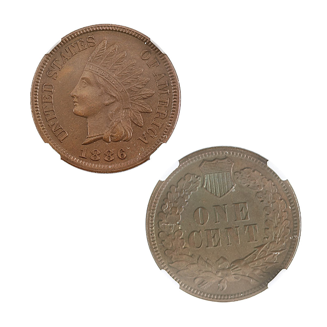 Lot image - United States 1886 One Cent Indian Type 2
