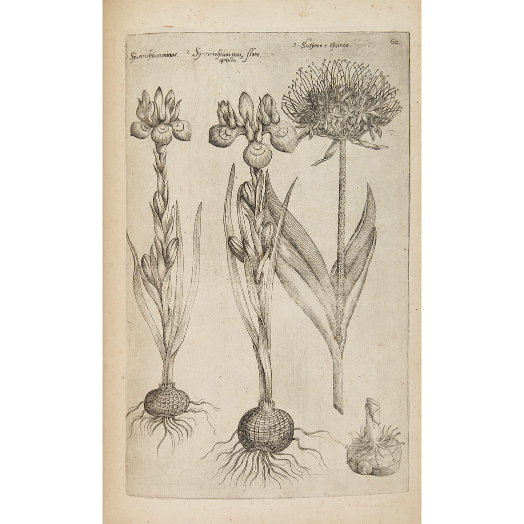 Lot image - SWEERT, EMANUEL  Florilegium amplissimum et selectissimum