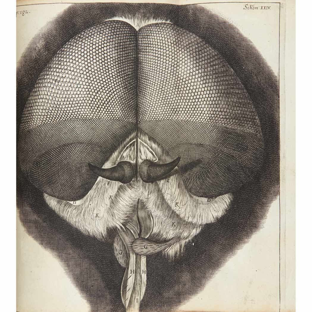 Lot image - HOOKE, ROBERT  Micrographia, or Some Physiological Descriptions of Minute Bodies Made by Magnifying Glasses