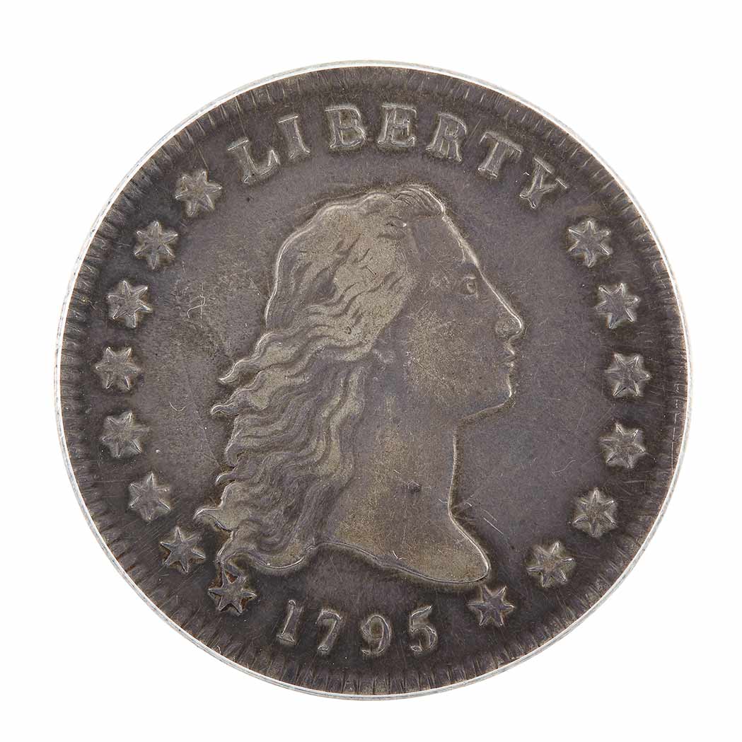 Lot image - United States 1795 Flowing Hair Dollar 1795 B-9 BB-132 2 Leaves