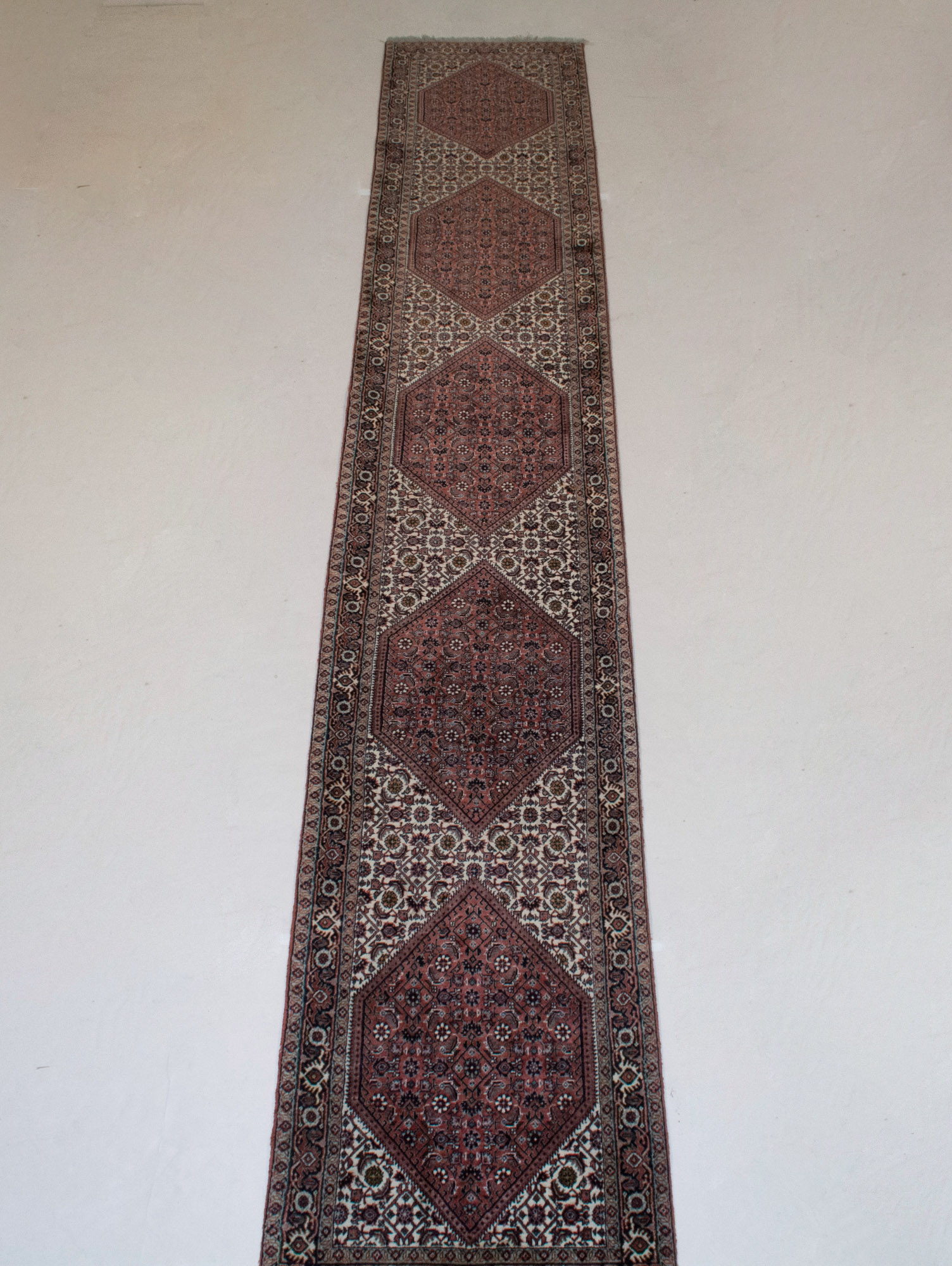 Lot image - Bidjar Runner