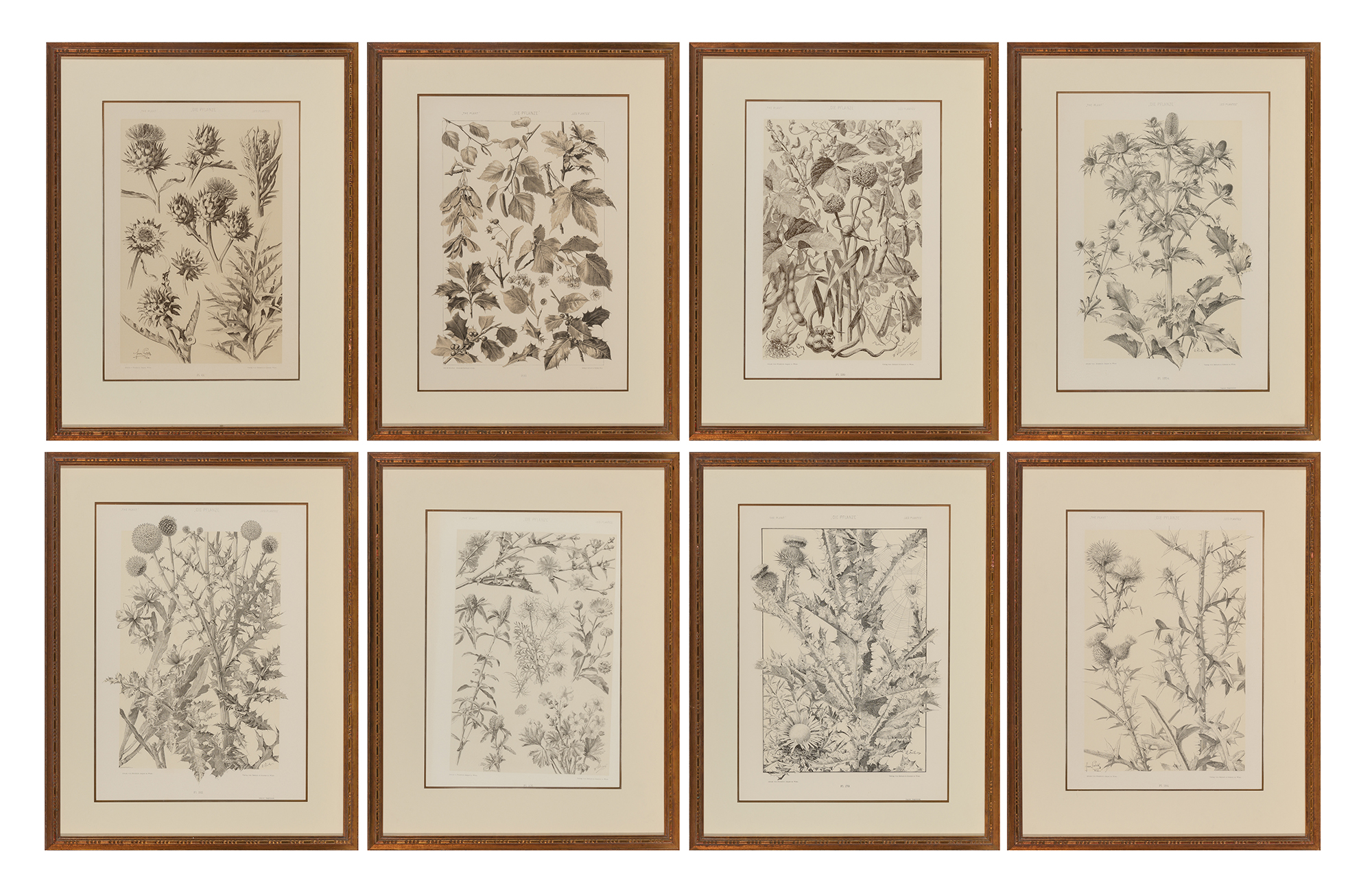 Lot image - Gerlach & Schenk, publishers