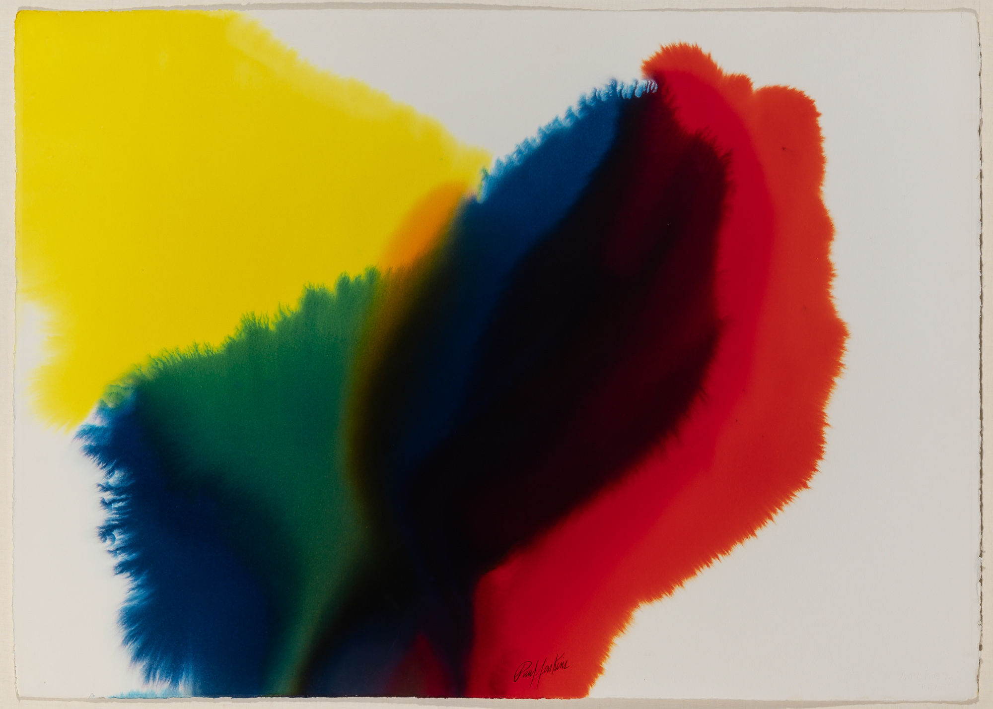 Lot image - Paul Jenkins