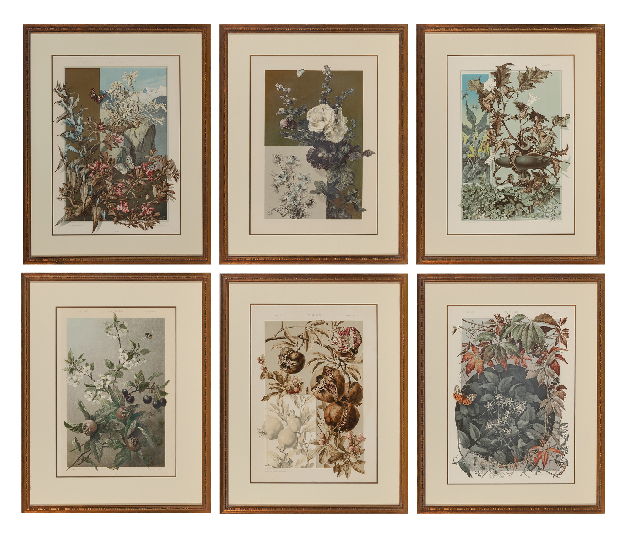 Lot image - Gerlach & Schenk, publishers