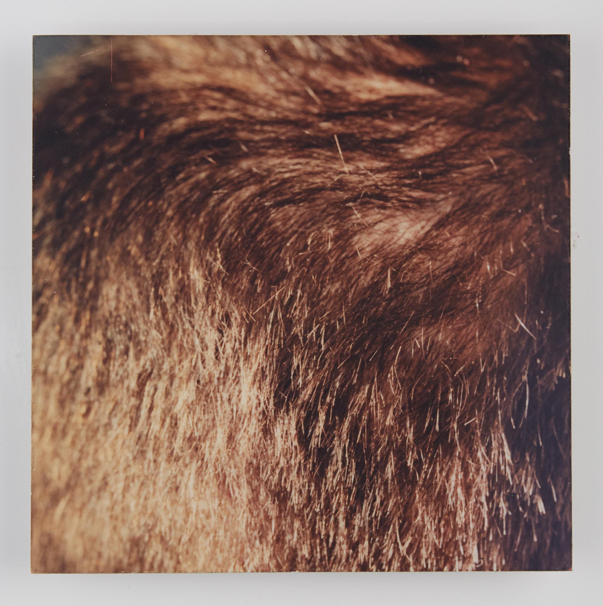 Lot image - Liza Ryan (American, b. 1965)  Displacement # 1; Displacement # 2,