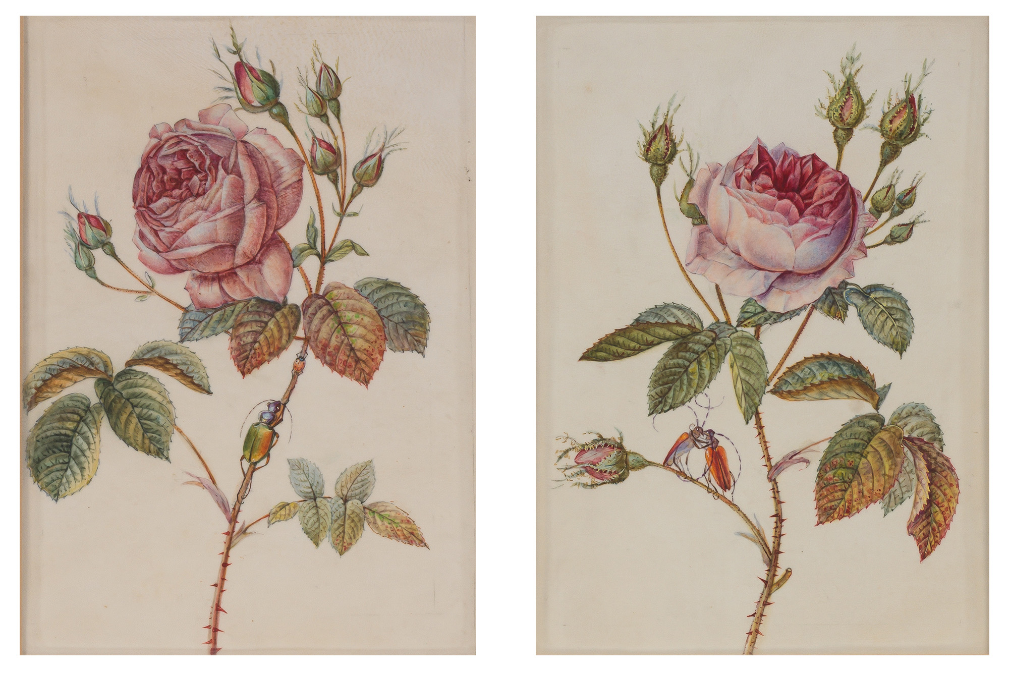 Lot image - French School