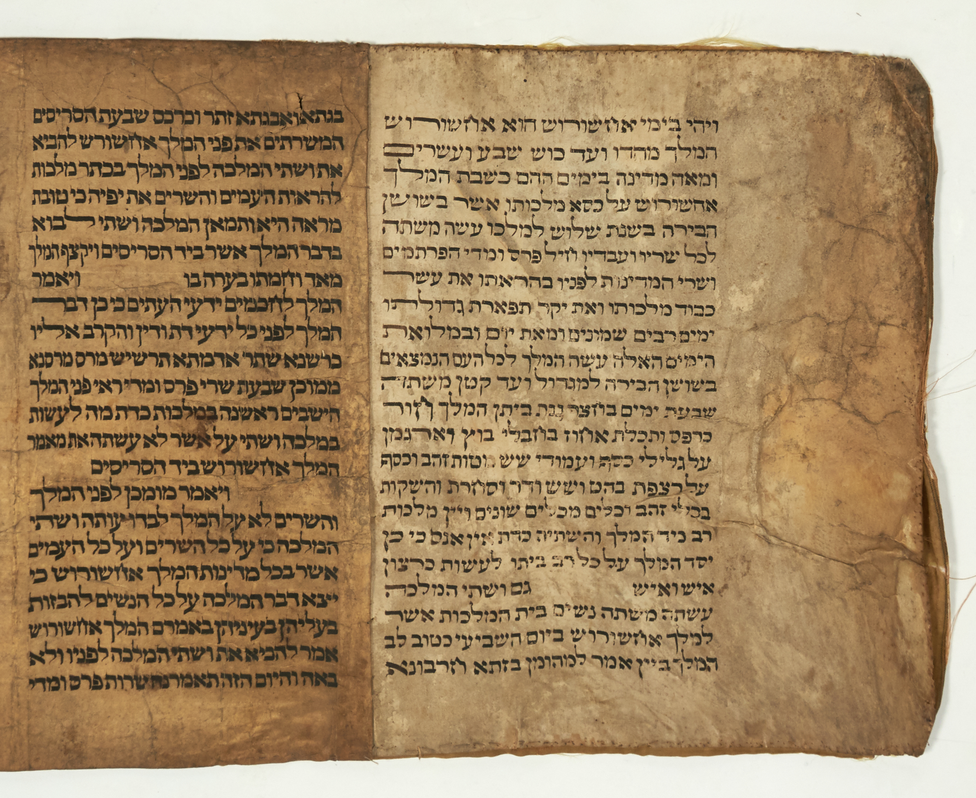 Lot image - [MEGILLAT ESTHER]  Esther scroll.