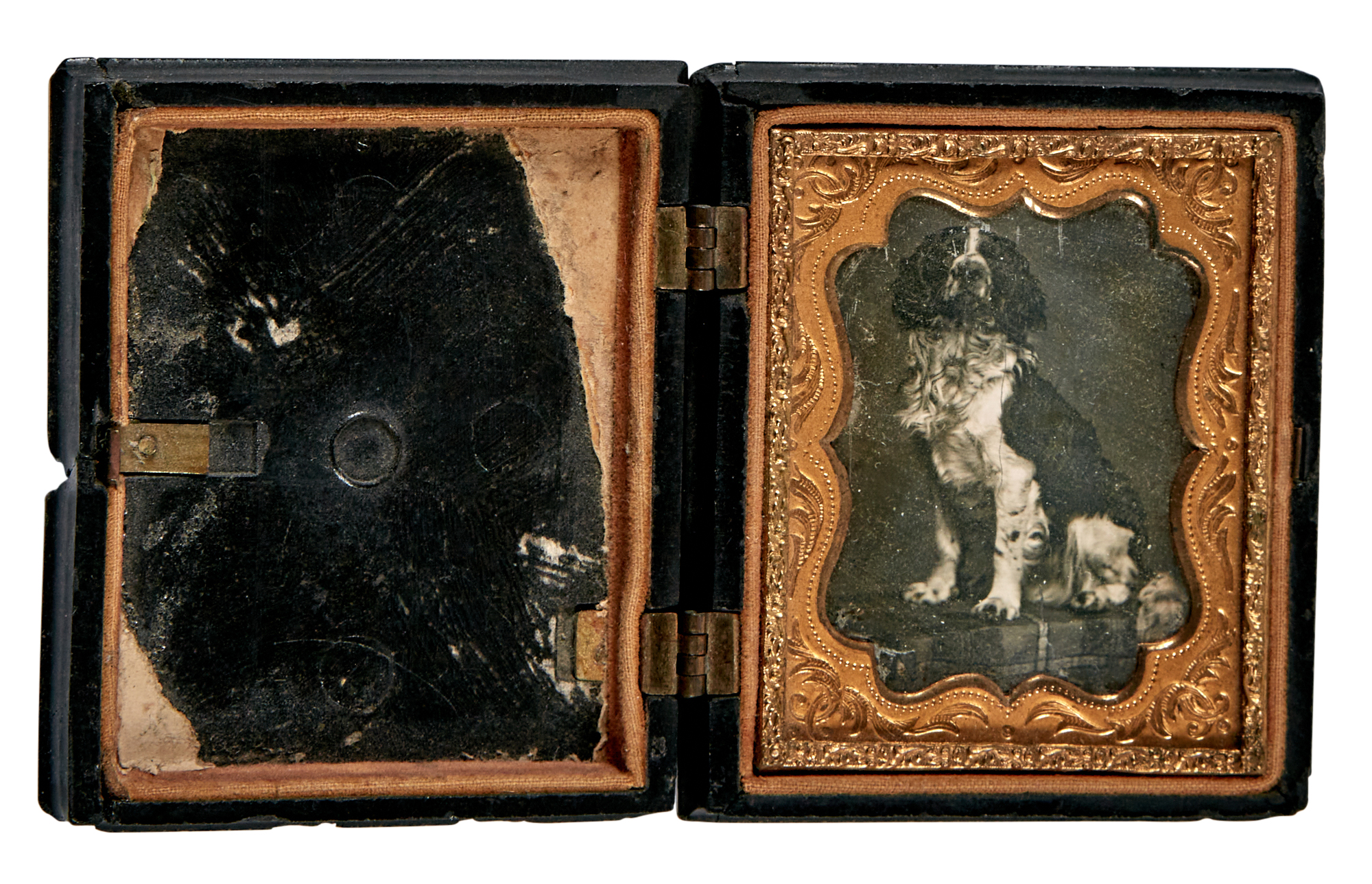 Lot image - [DAGUERREOTYPE-ANIMAL]  Daguerreotype of a dog, possibly a springer spaniel.