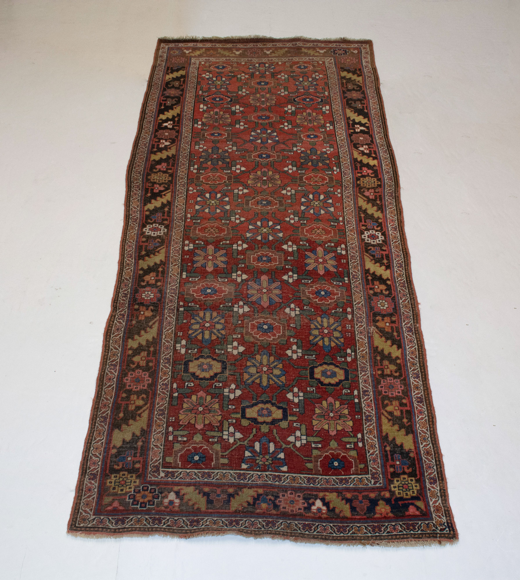 Lot image - Bidjar Runner