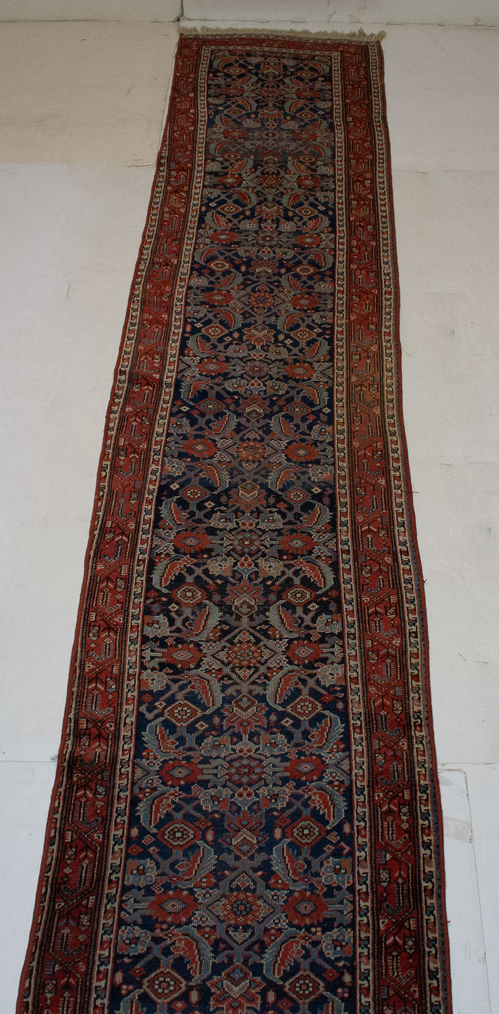 Lot image - Northwest Persian Runner
