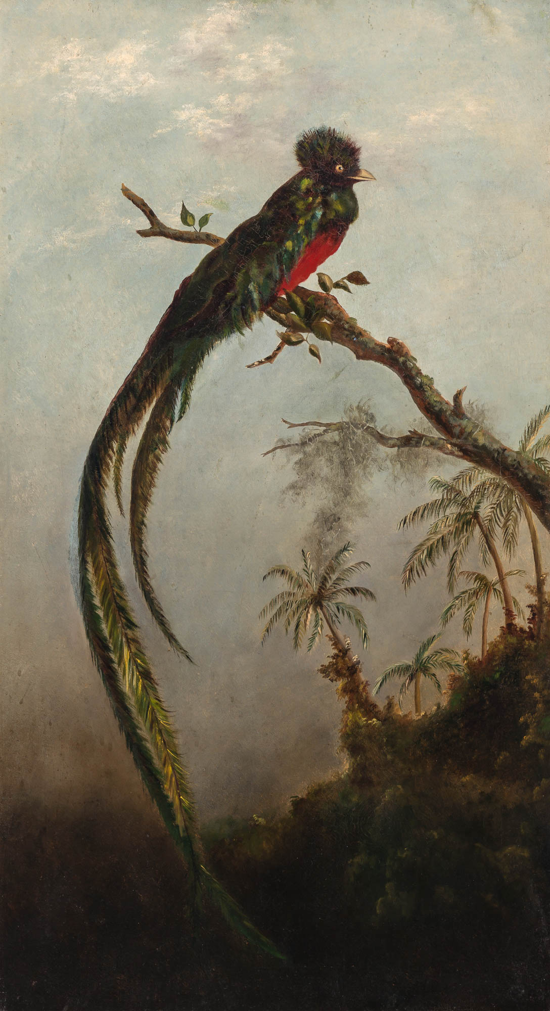 Lot image - American School