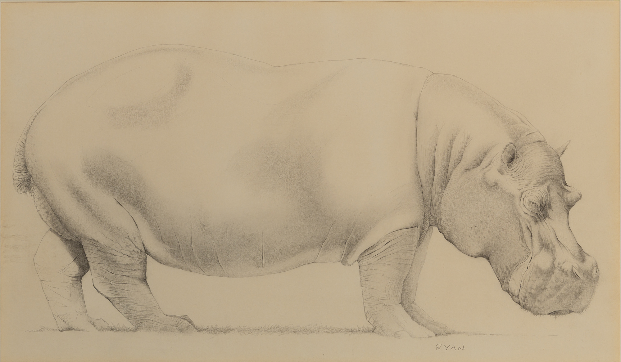 Lot image - 20th Century School