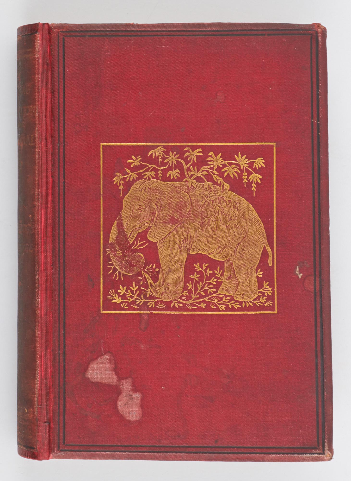 Lot image - FERNANDES DAS NEVES, D[IOCLECIANO].  A Hunting Expedition to the Transvaal.