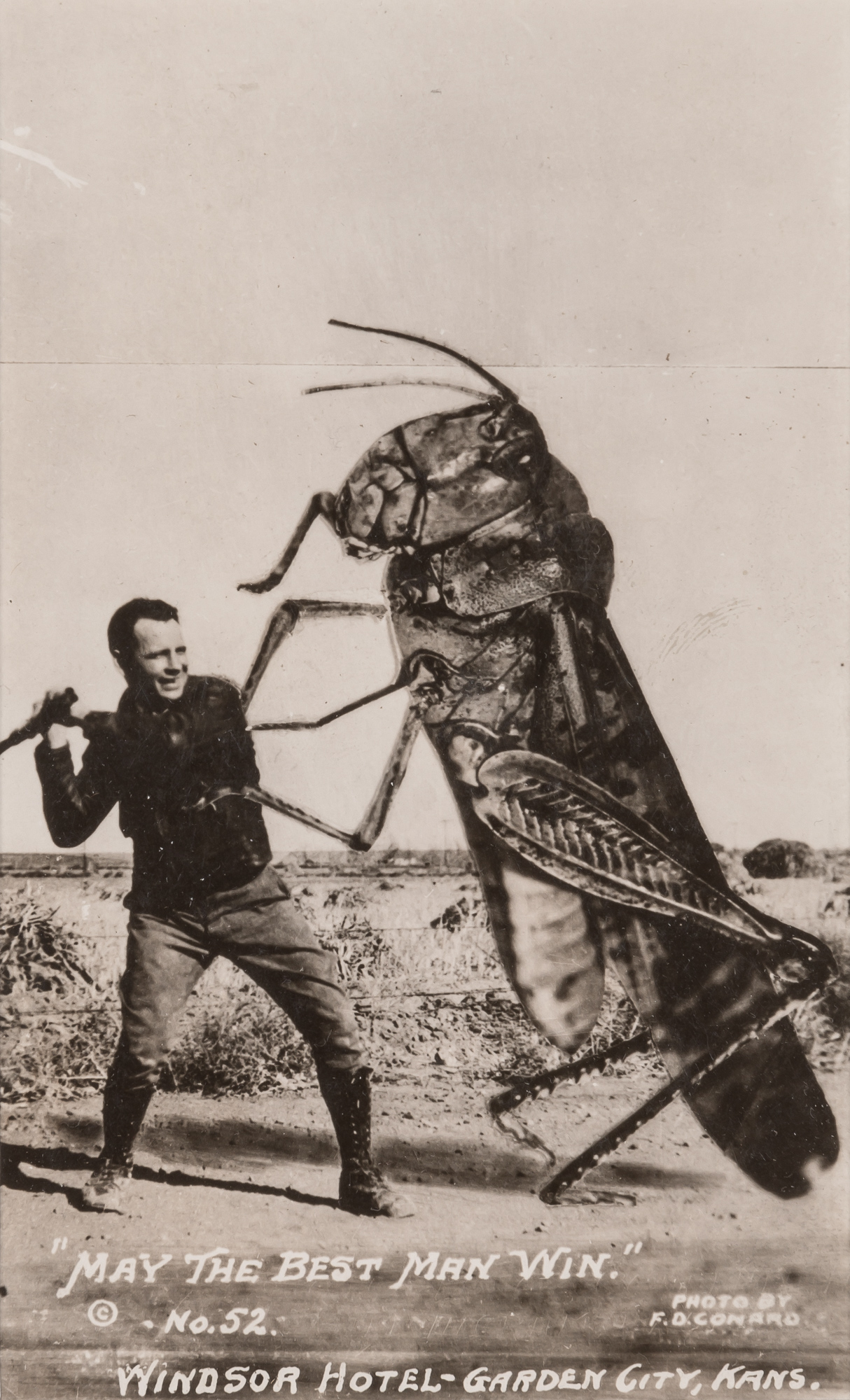 Lot image - [VERNACULAR PHOTOGRAPHY--POSTCARDS]  Group of twelve Exaggerations.