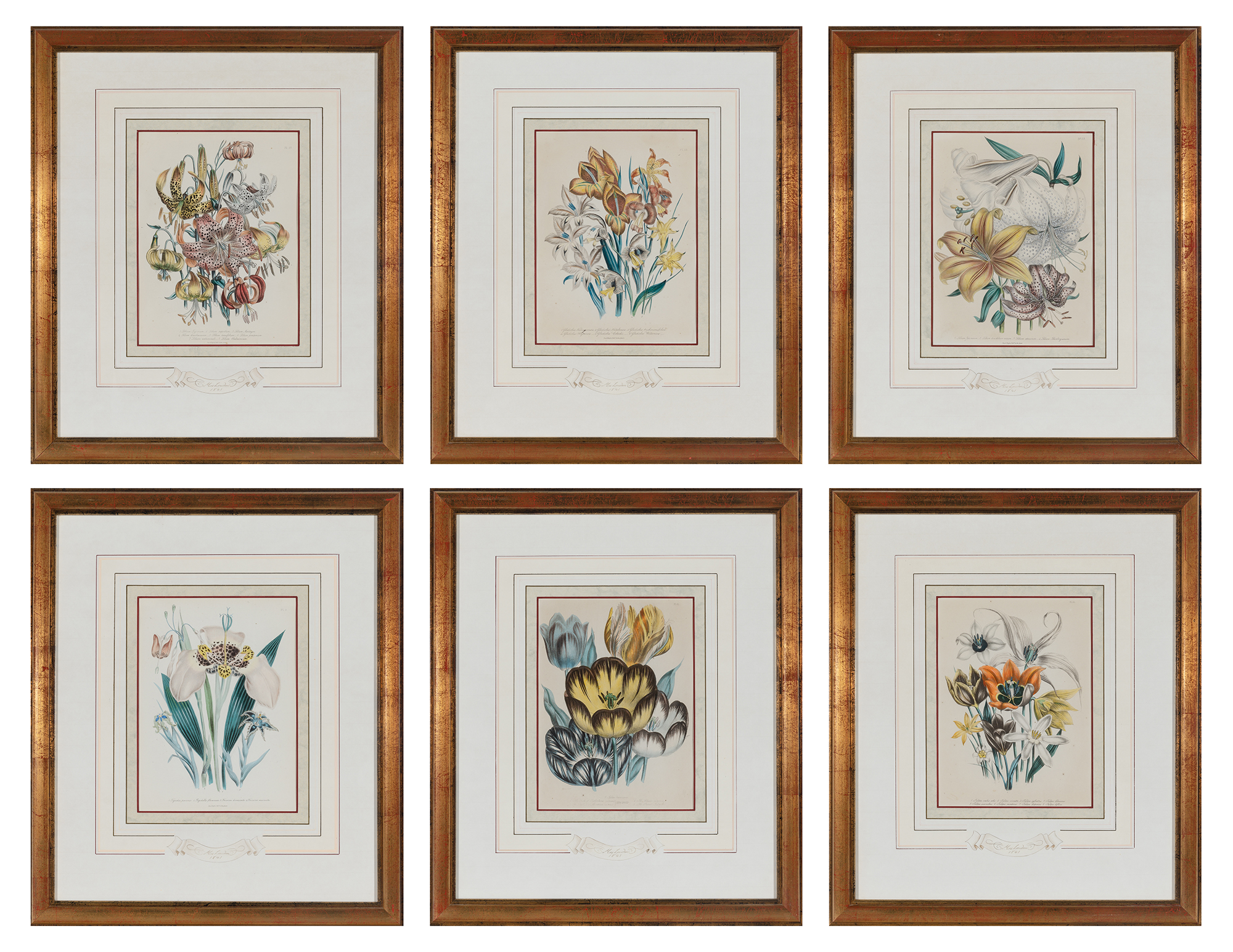 Lot image - Jane Wells Loudon (1807-1858)