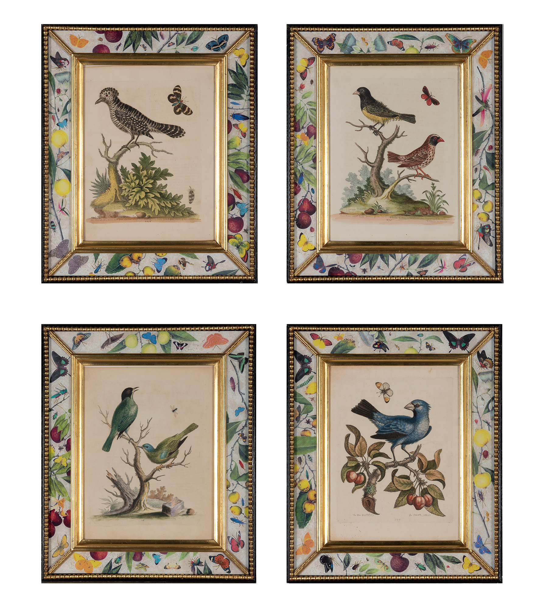 Lot image - George Edwards (1694-1773)