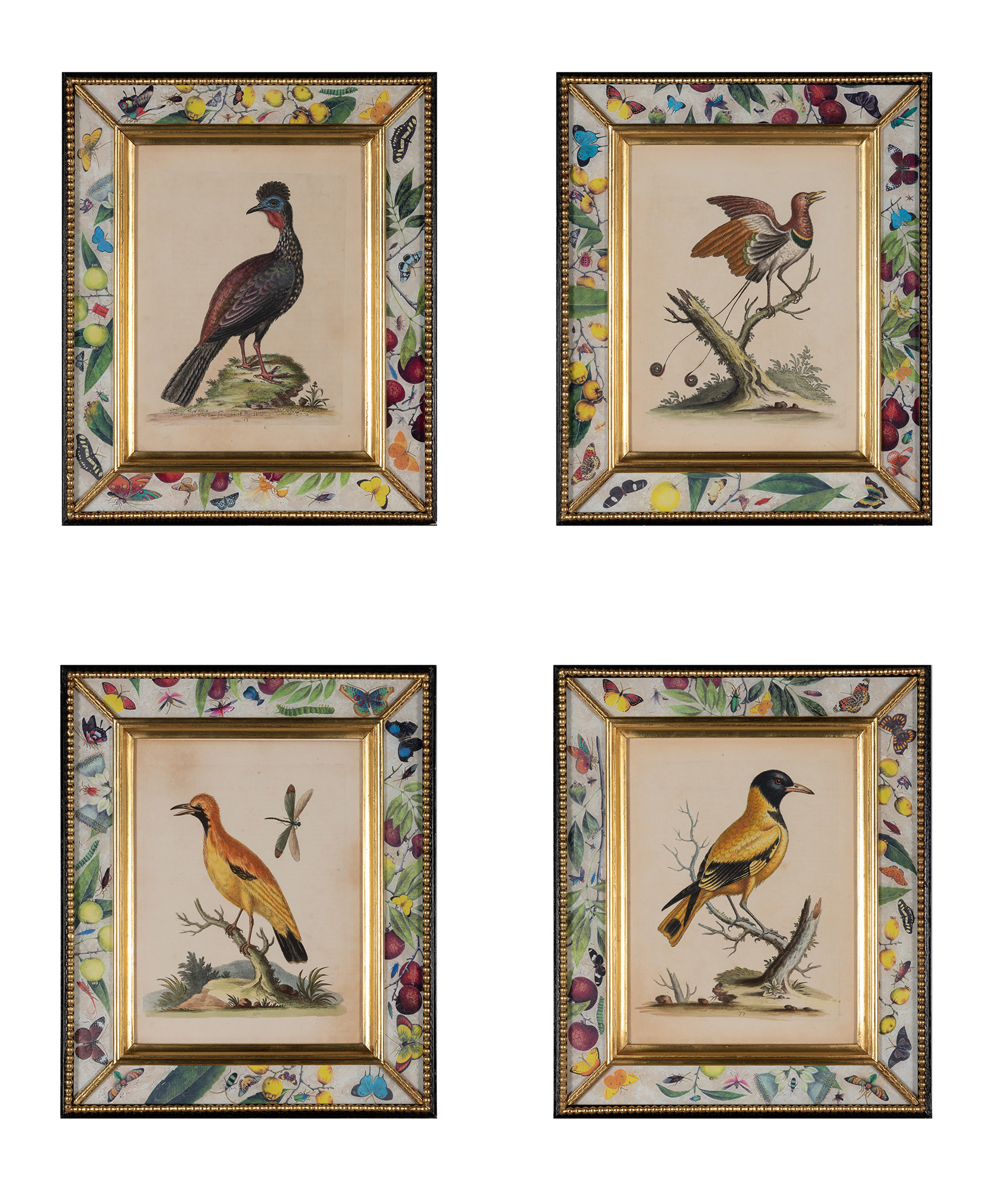 Lot image - George Edwards (1694-1773)