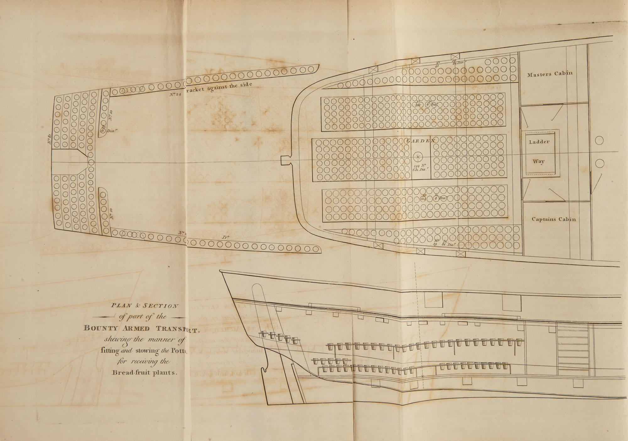 Lot image - BLIGH, WILLIAM A voyage to the South Sea, undertaken by command of His Majesty, for the purpose of conveying the bread-fruit tr...