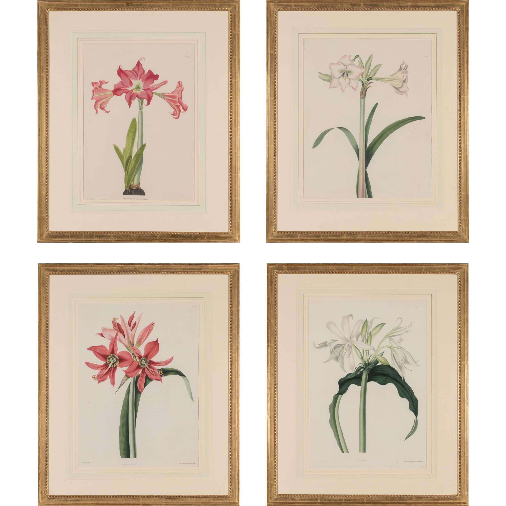 Lot image - After Mrs. Edward Bury (1799-1872)