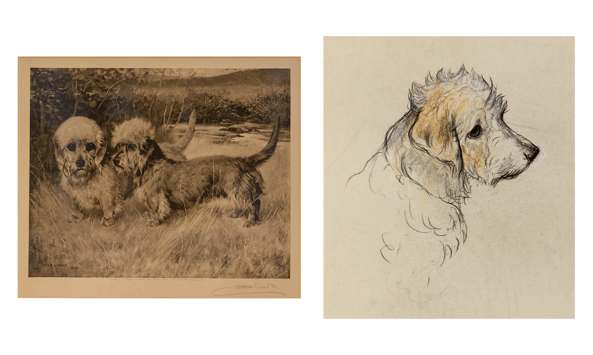 Lot image - Arthur Wardle