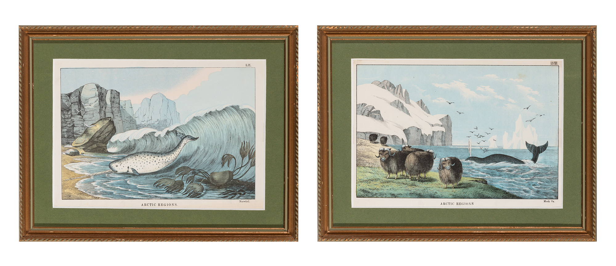 Lot image - Artist Unknown