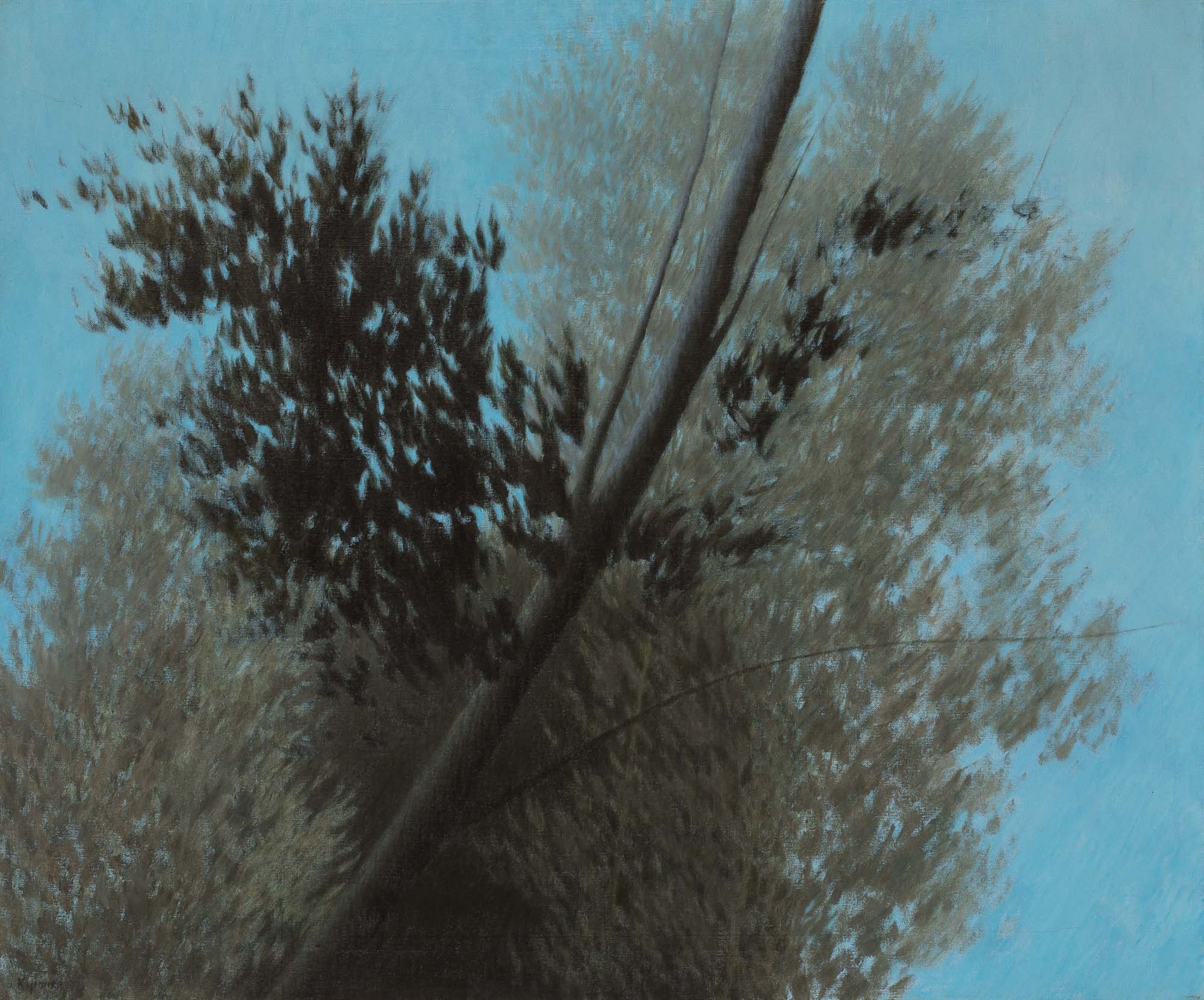 Lot image - Robert Kipniss