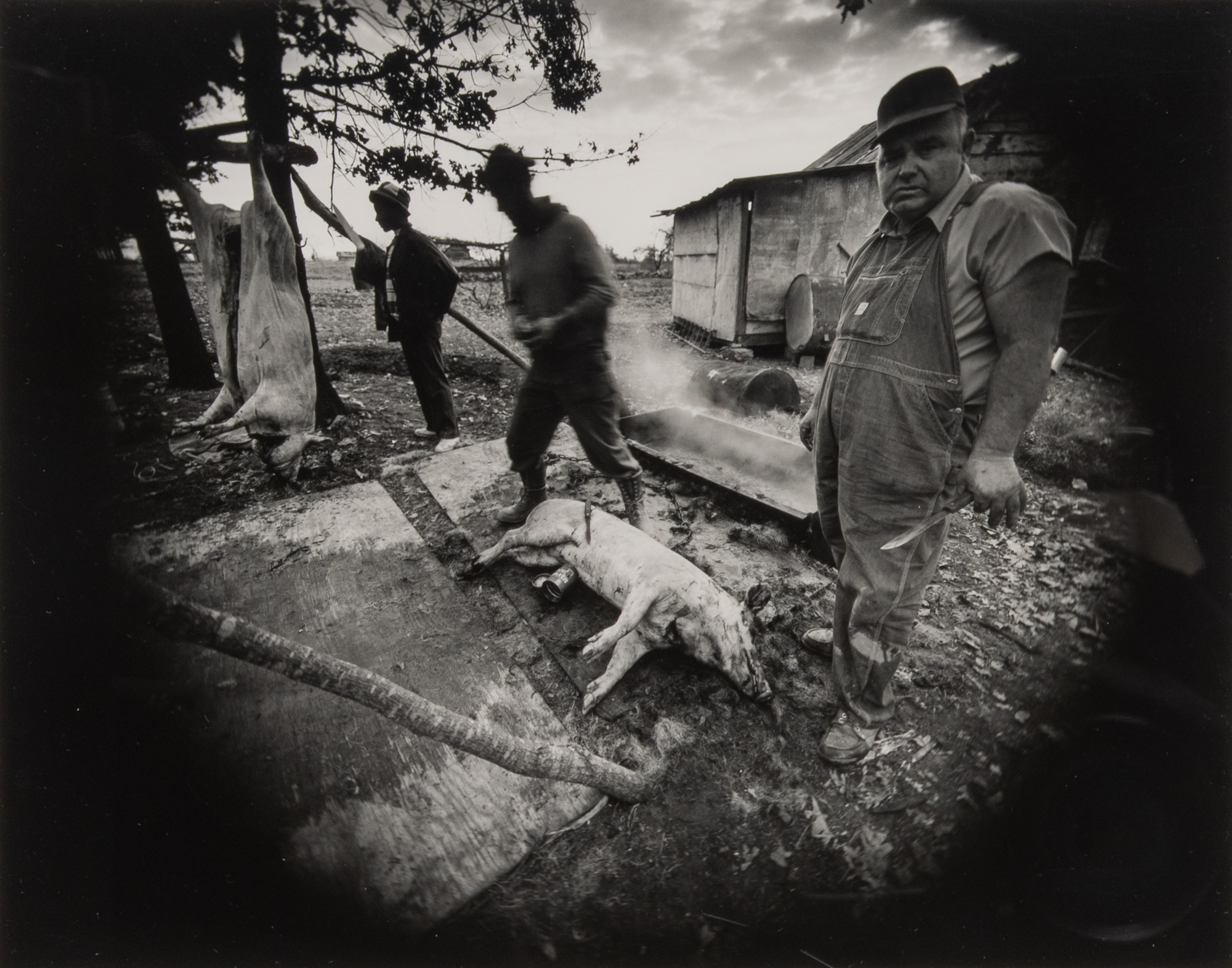 Lot image - GOWIN, EMMET  Butchering--near Chatham, Virginia,