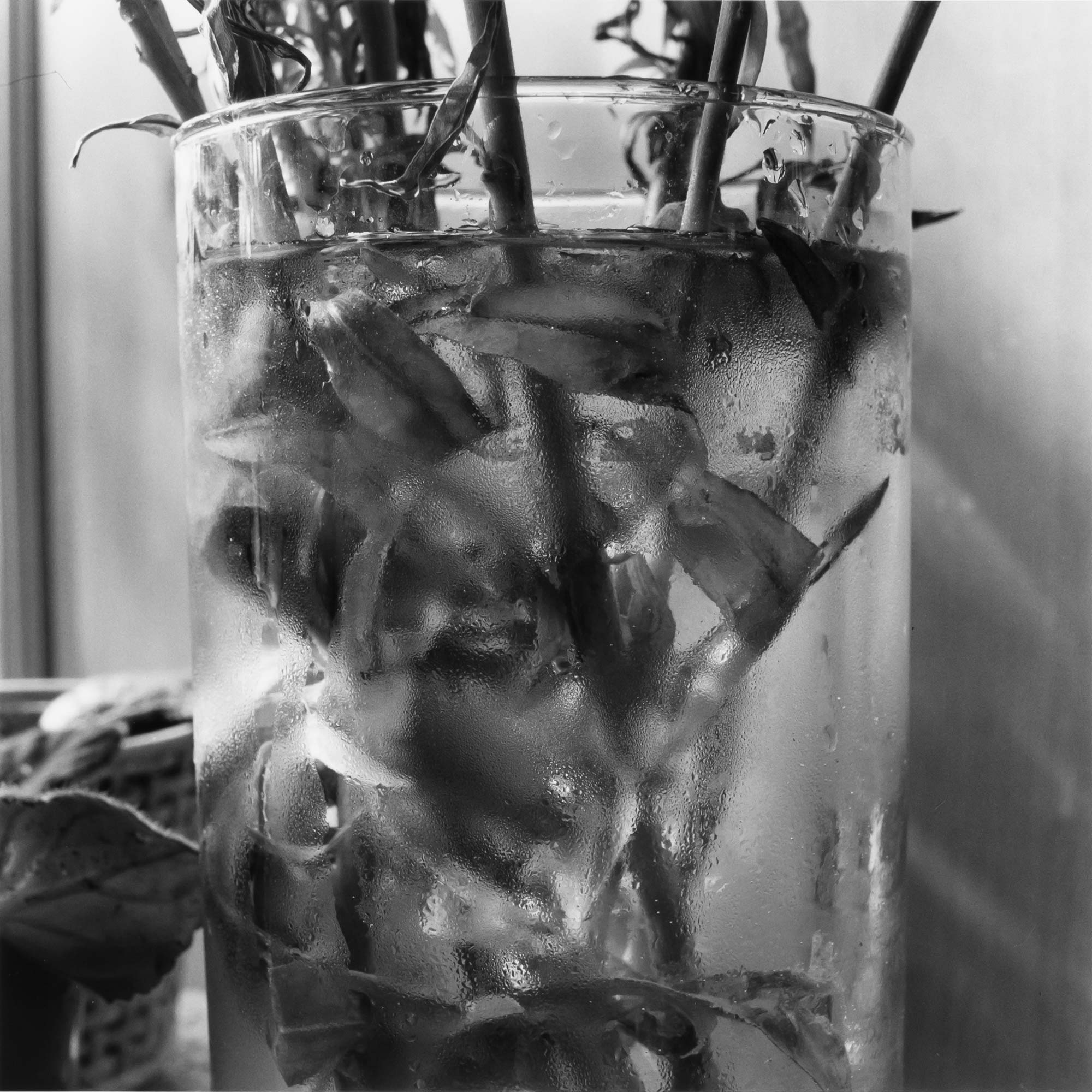 Lot image - FRIEDLANDER, LEE