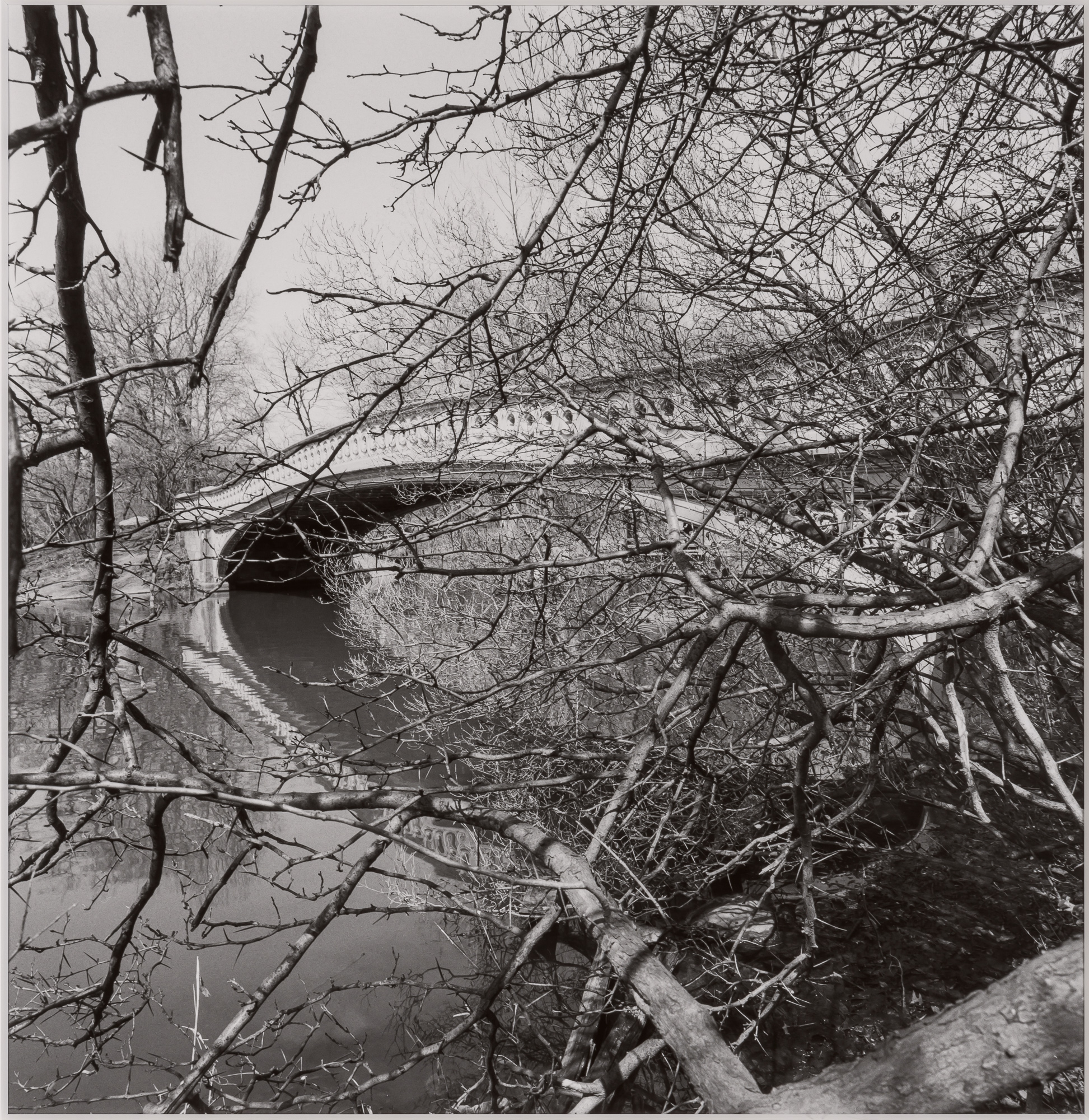 Lot image - FRIEDLANDER, LEE (b. 1934)  [Charles H. Olmsted Parks],