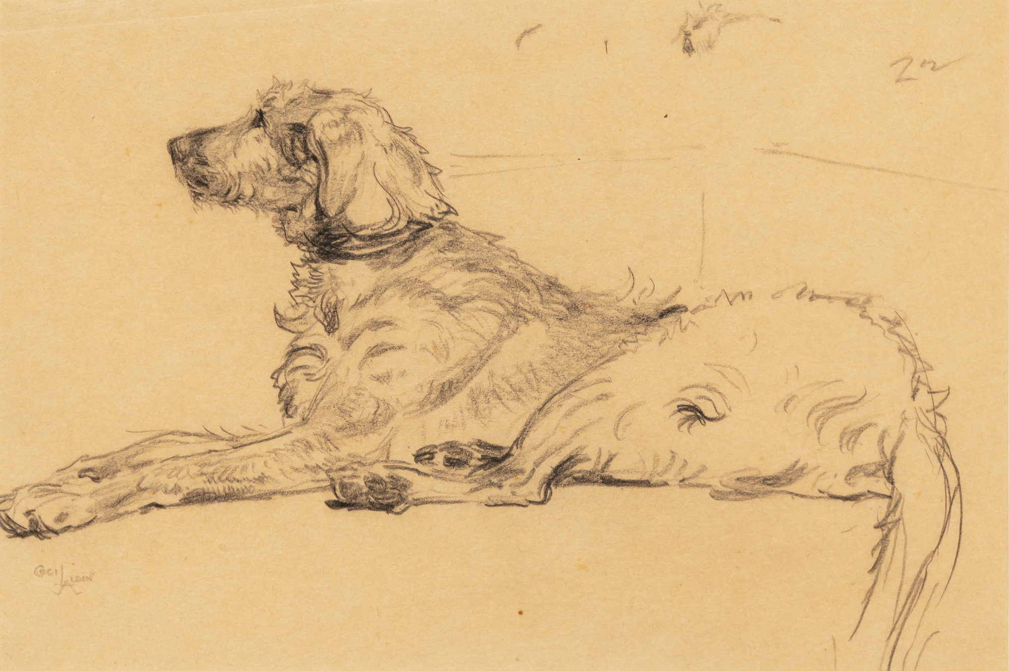 Lot image - Cecil Aldin