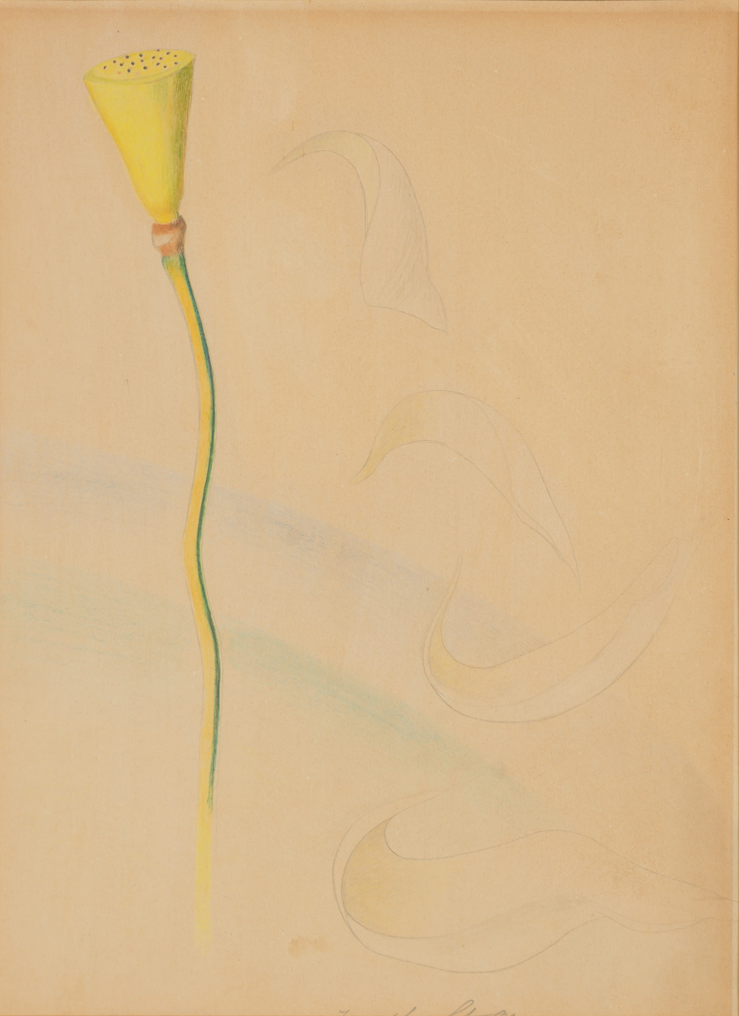 Lot image - Joseph Stella