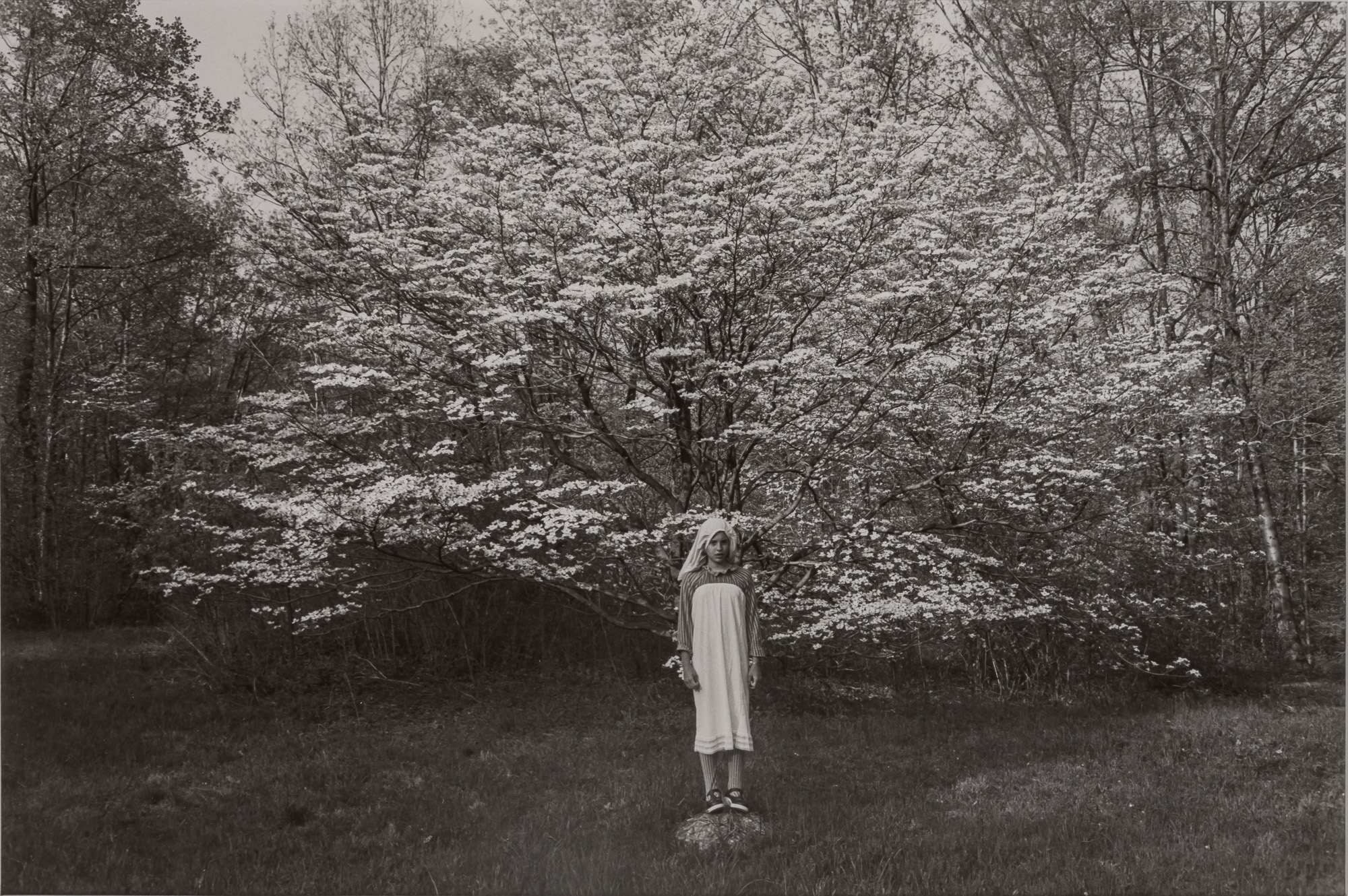 Lot image - FRIEDLANDER, LEE (b. 1934)  New City, New York,