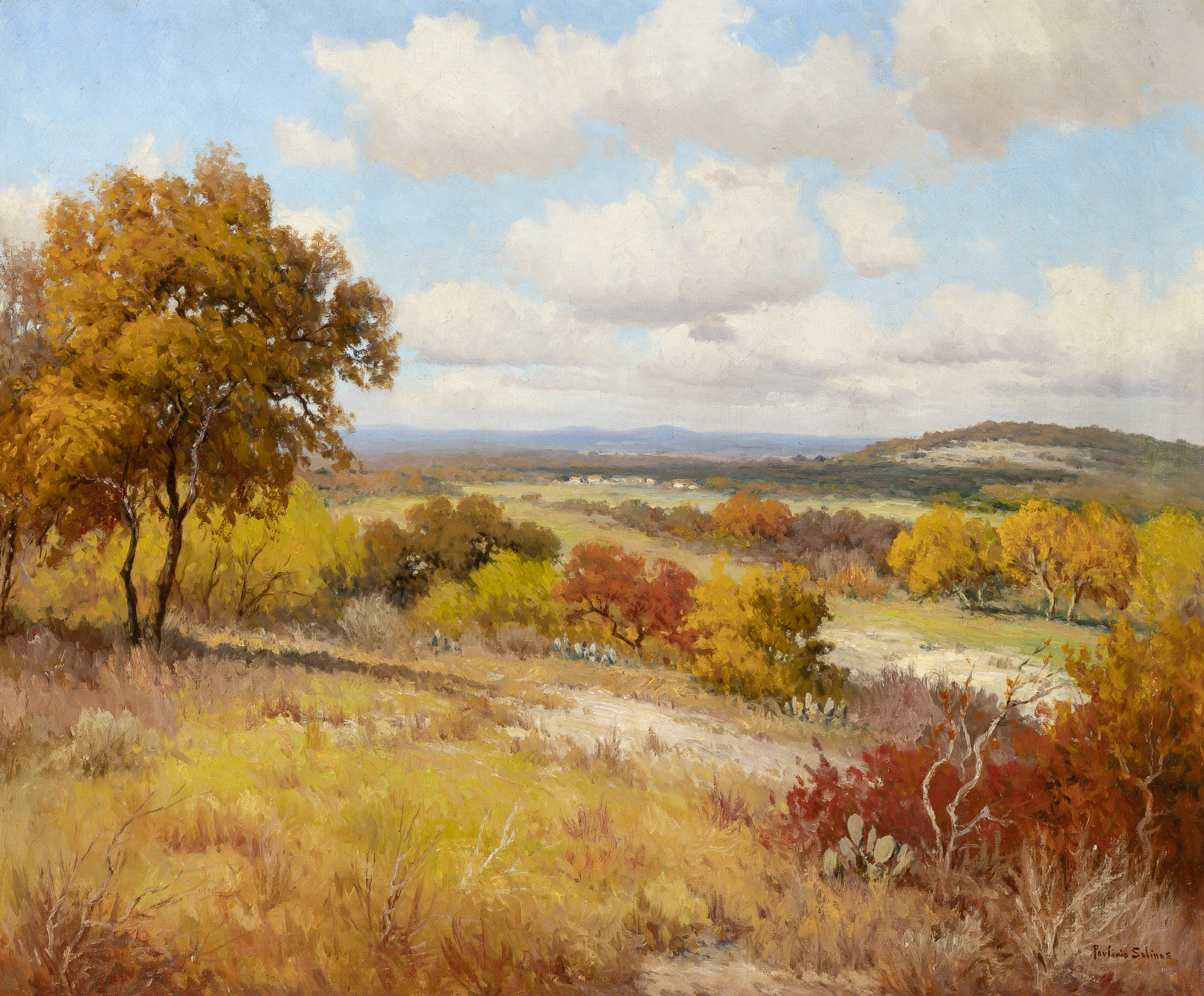 Lot image - Porfirio Salinas