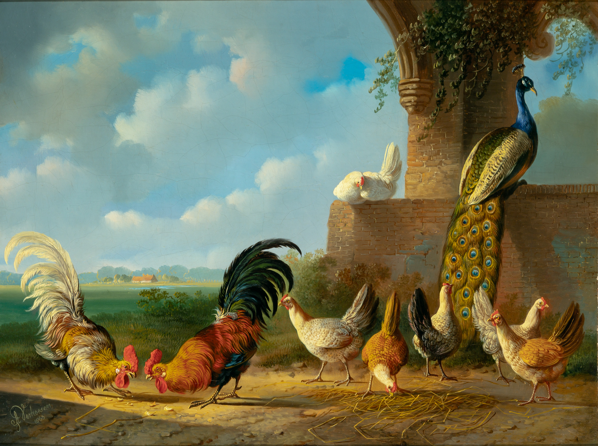 Lot image - Albertus Verhoesen