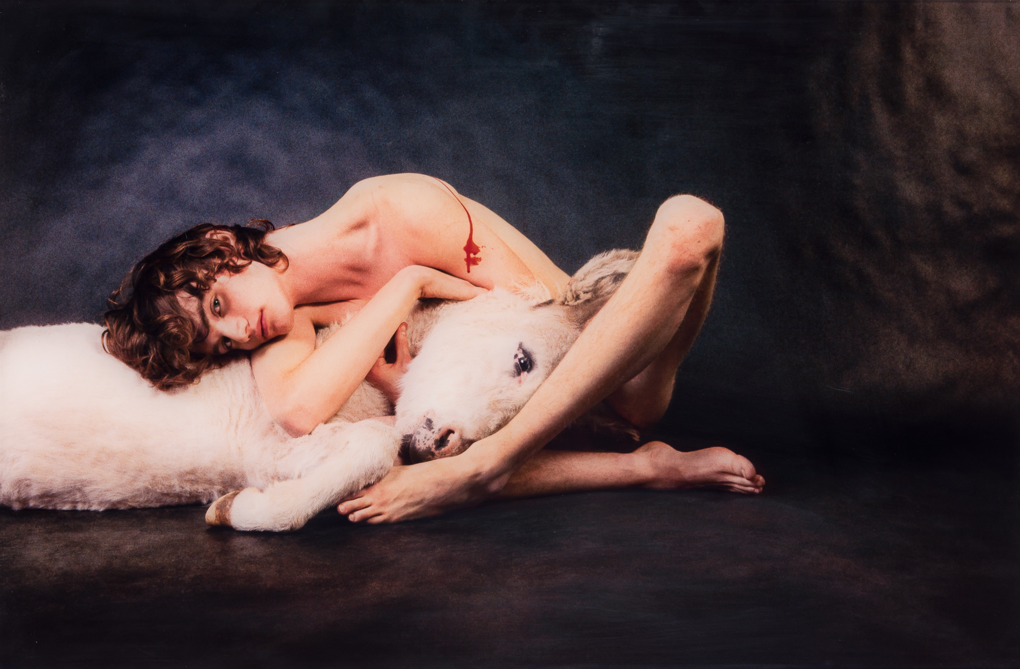 Lot image - McGINLEY, RYAN (b. 1977)  Richard (Donkey),