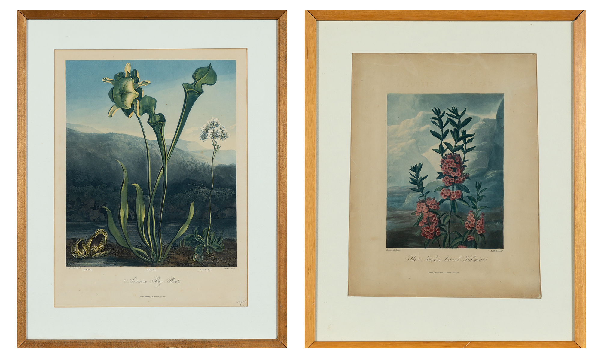 Lot image - Dr. Robert John Thornton