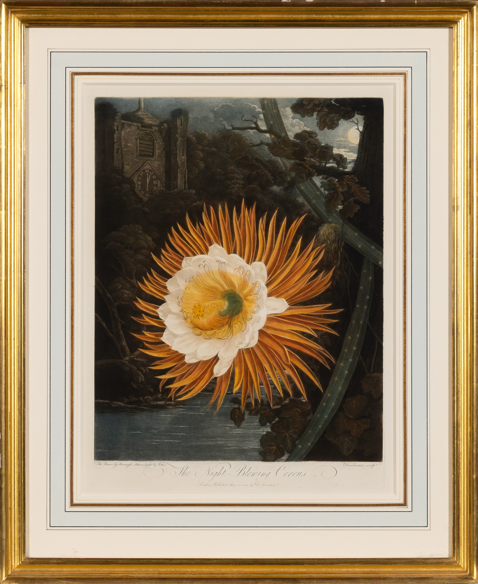 Lot image - Dr. Robert John Thornton