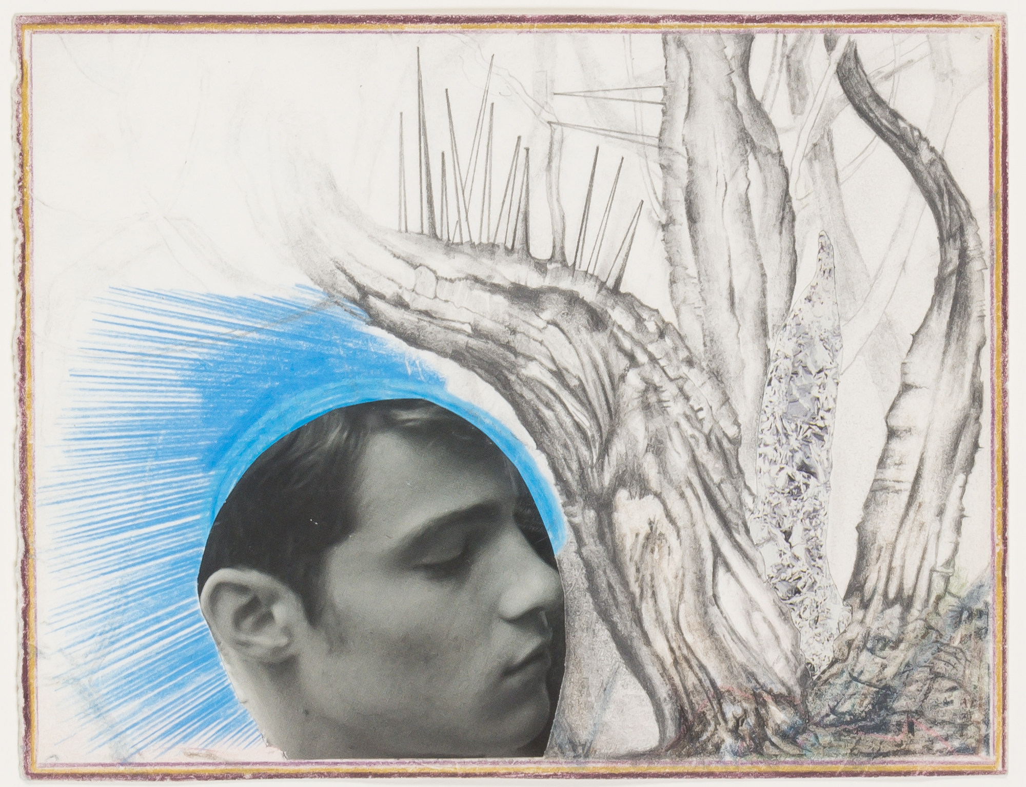 Lot image - David Dupuis