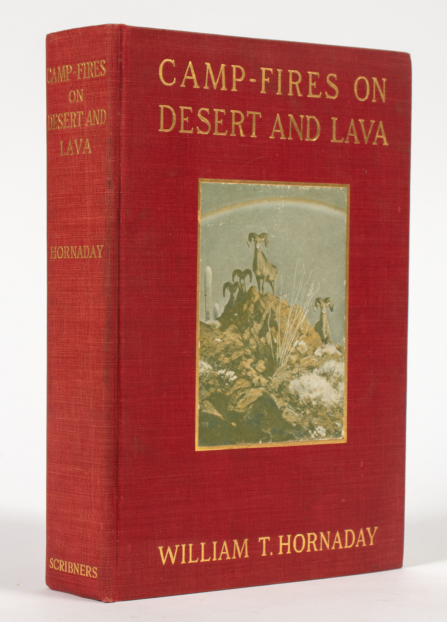 Lot image - [HUNTING]  HORNADAY, WILLIAM T. Two works.