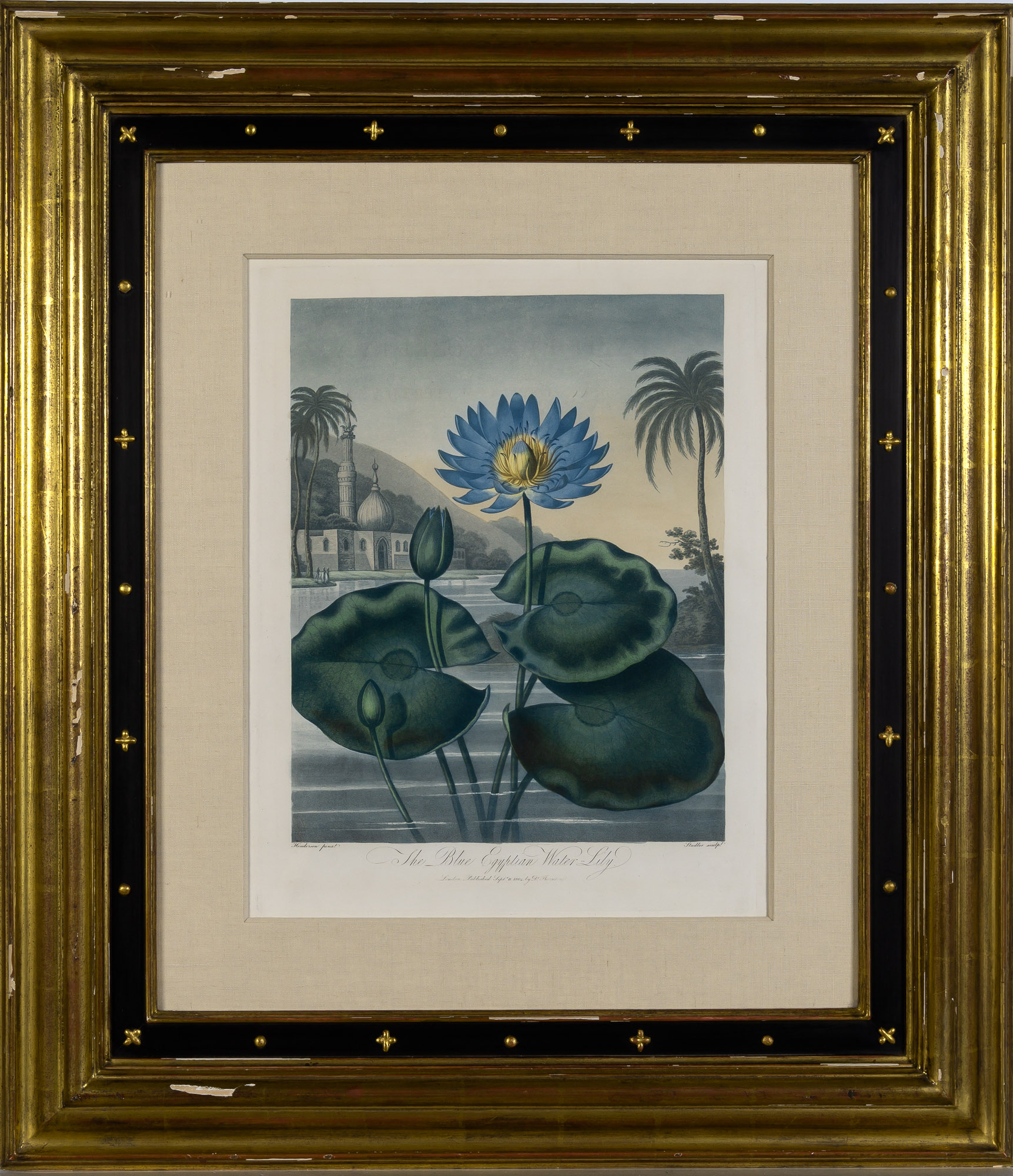 Lot image - Dr. Robert Thornton (1768-1837), publisher