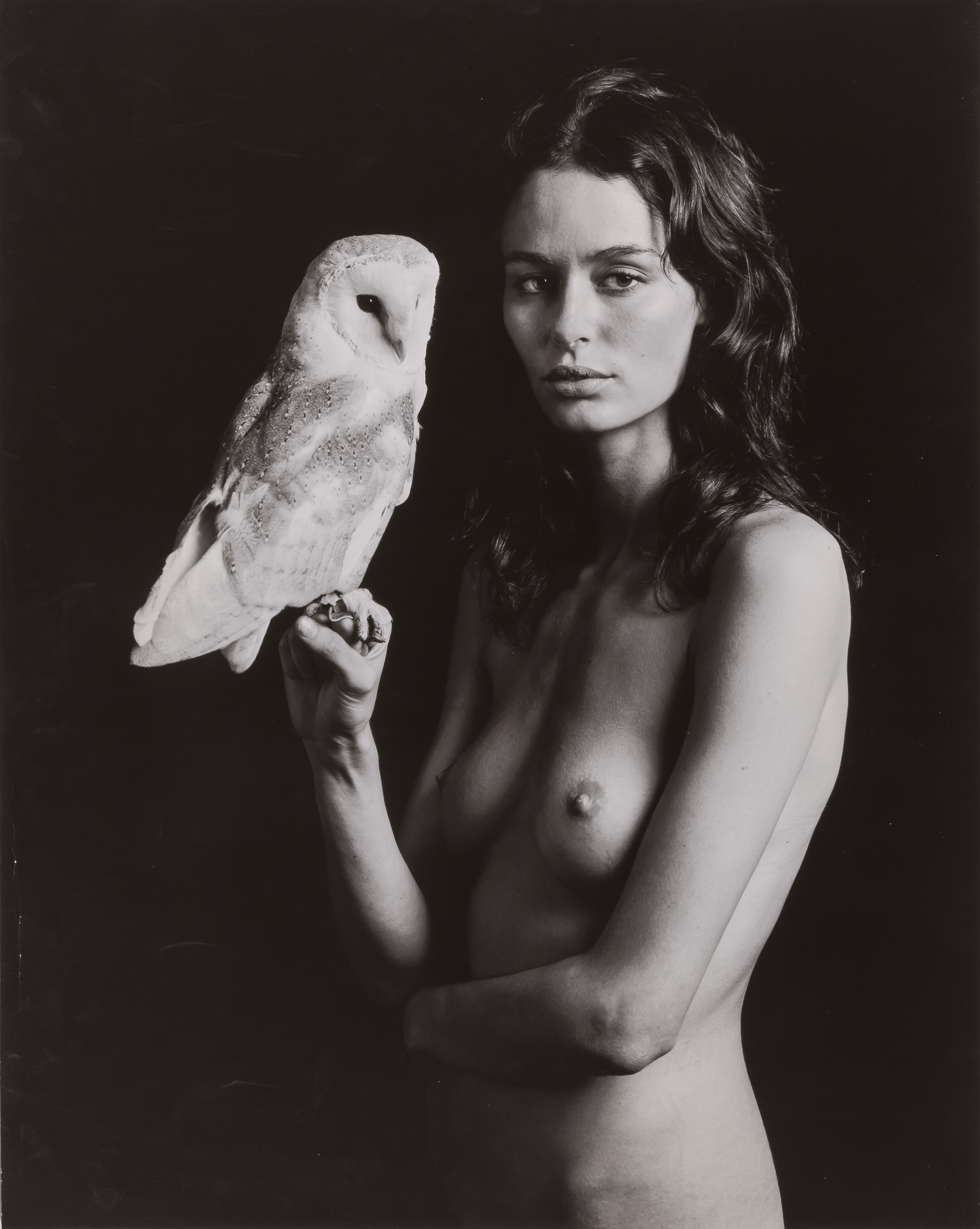 Lot image - SNOW, MAX[WELL] (b. 1984)  Untitled (Owl II),