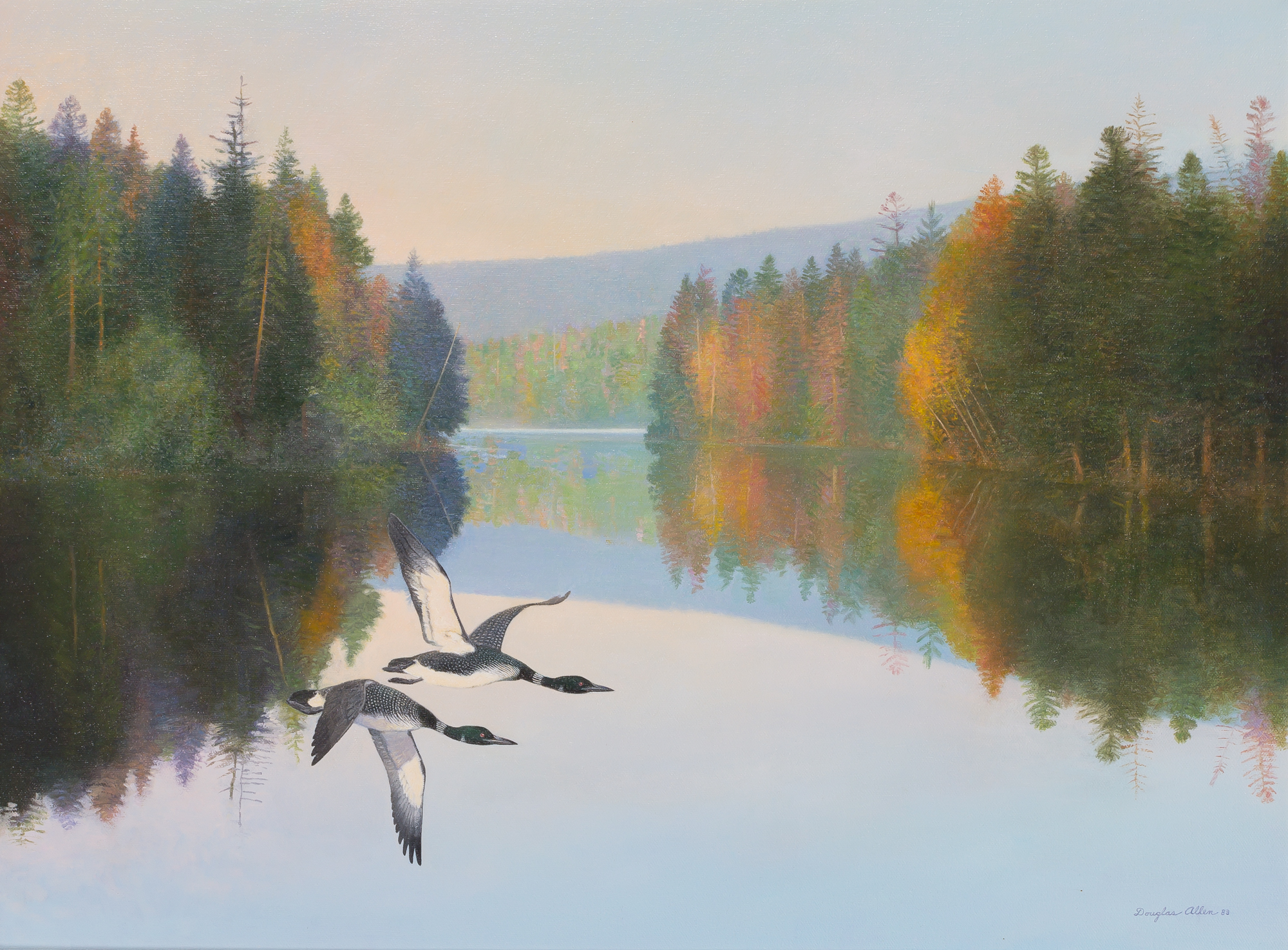 Lot image - Douglas Allen