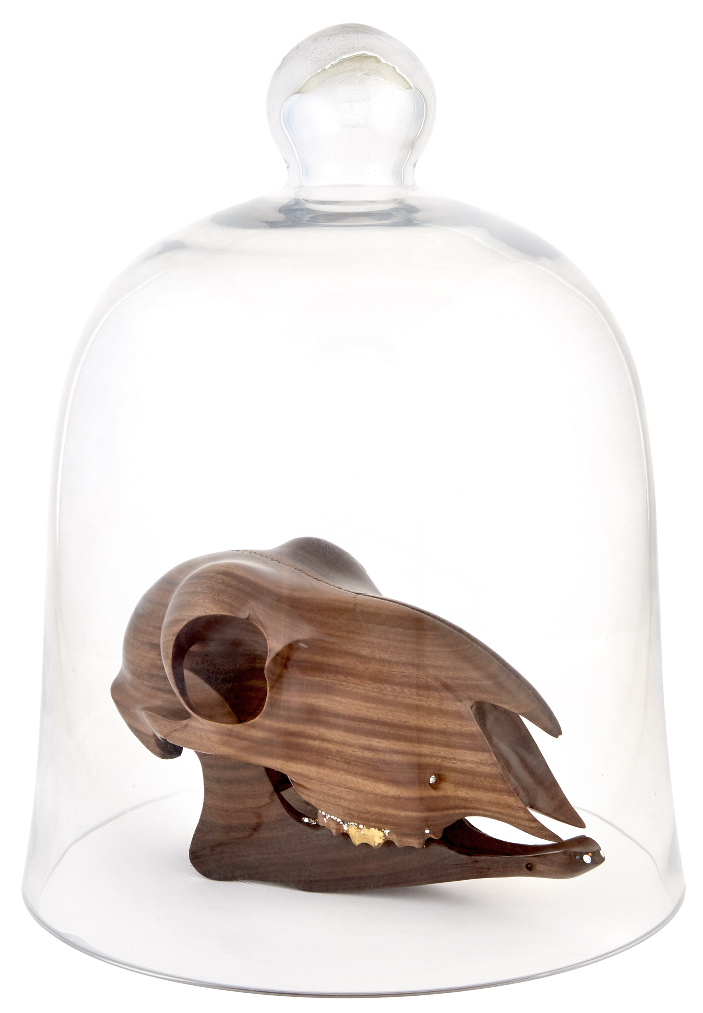 Lot image - Laurel Roth Hope