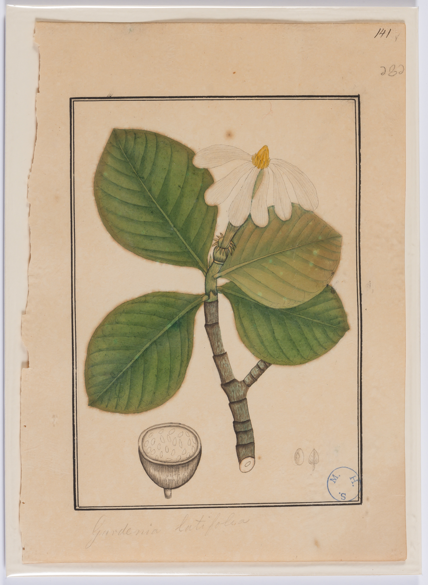 Lot image - Indian School