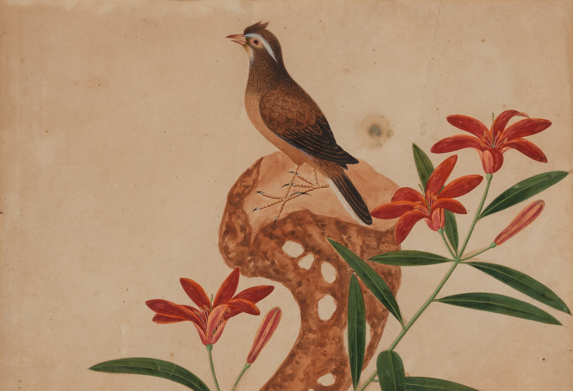 Lot image - Anglo-Indian School